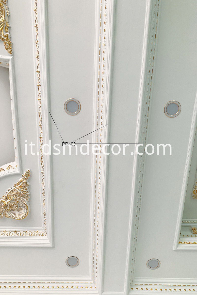 Decorazione modanatura pannello Panel Molding Decoration